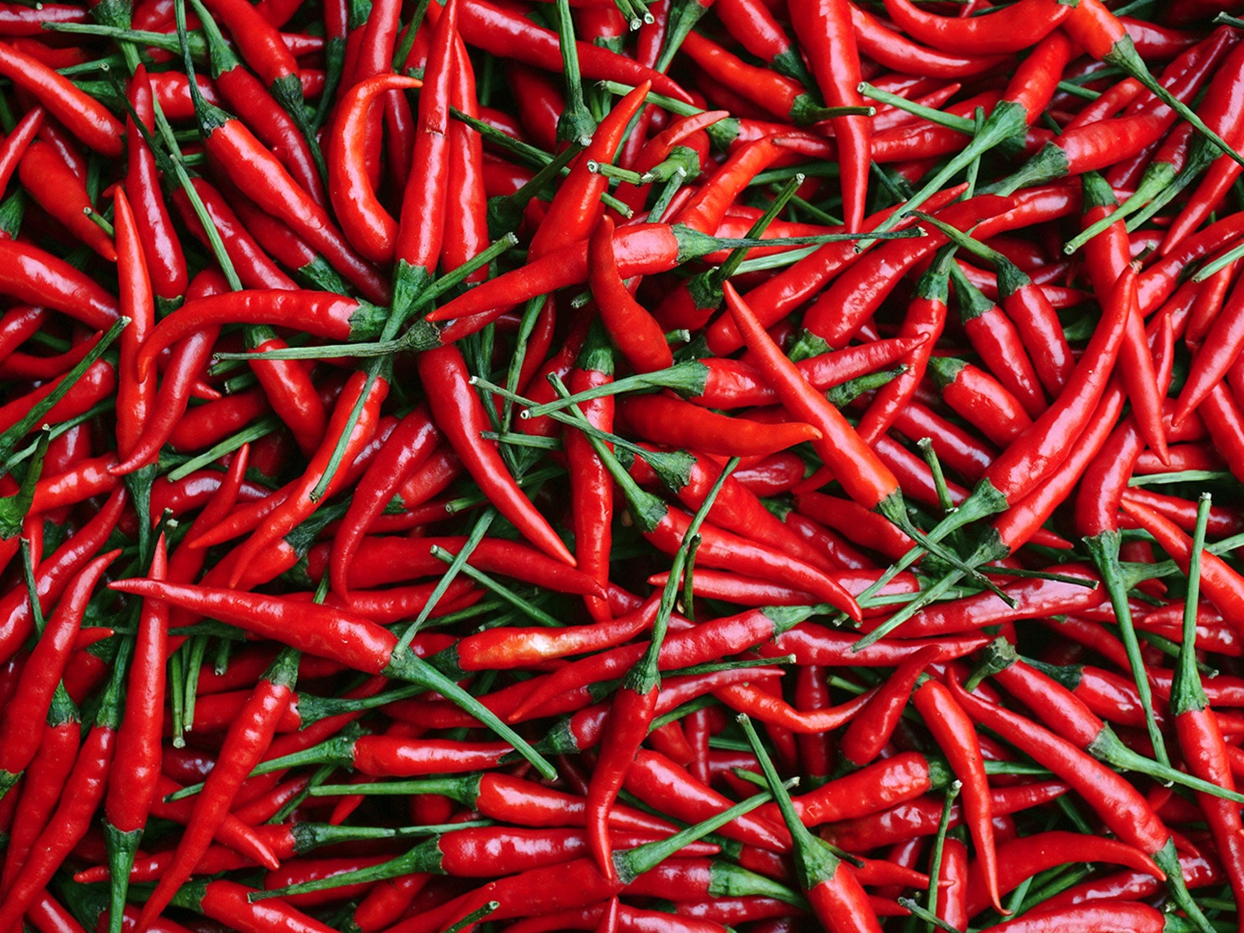 Processed chilli selection