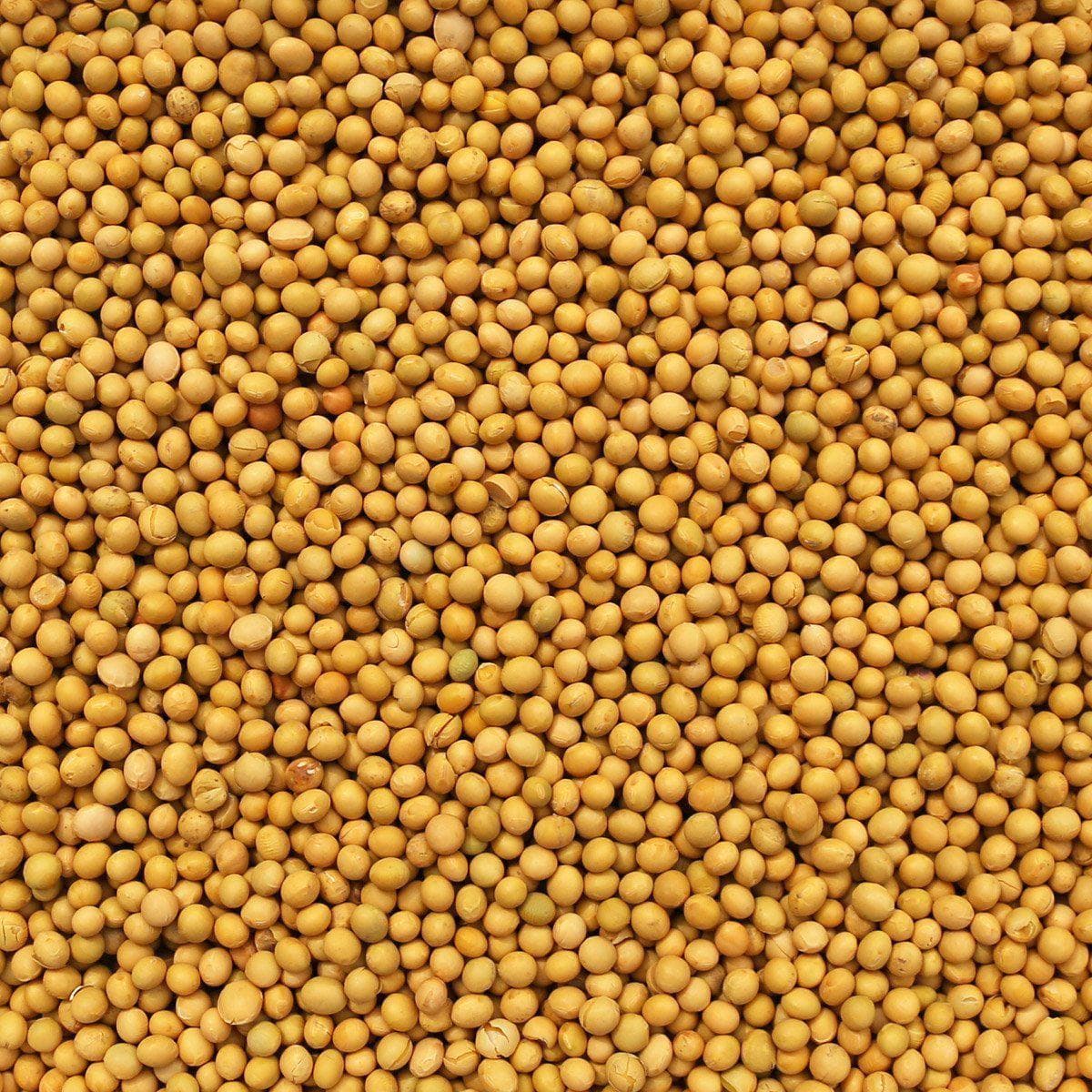 Soya Beans