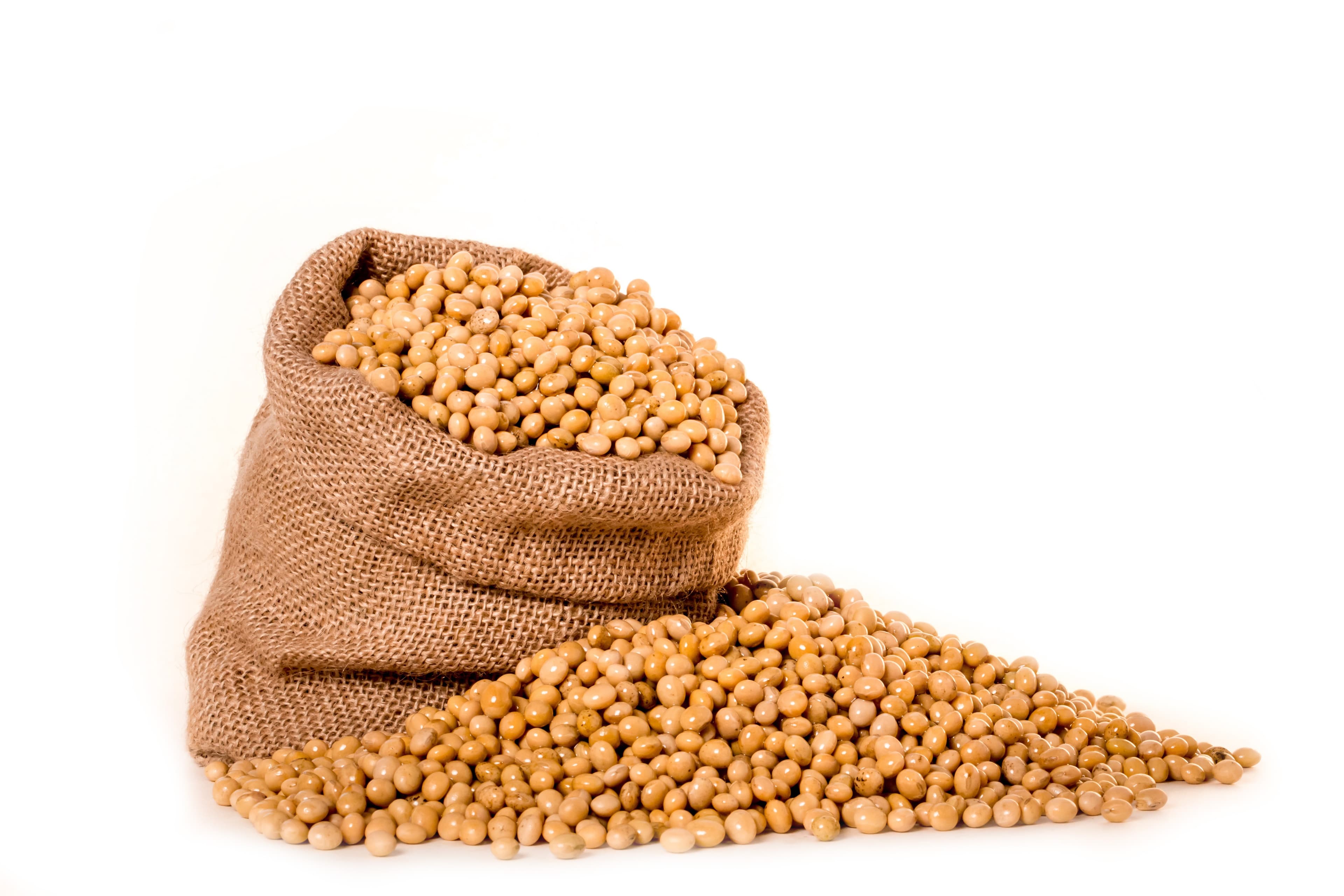 Pulses & Legumes