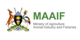 MAAIF Logo